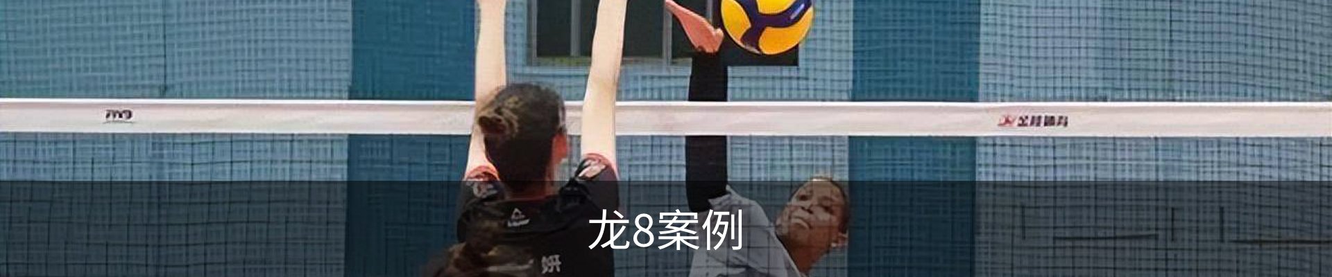 龙8案例